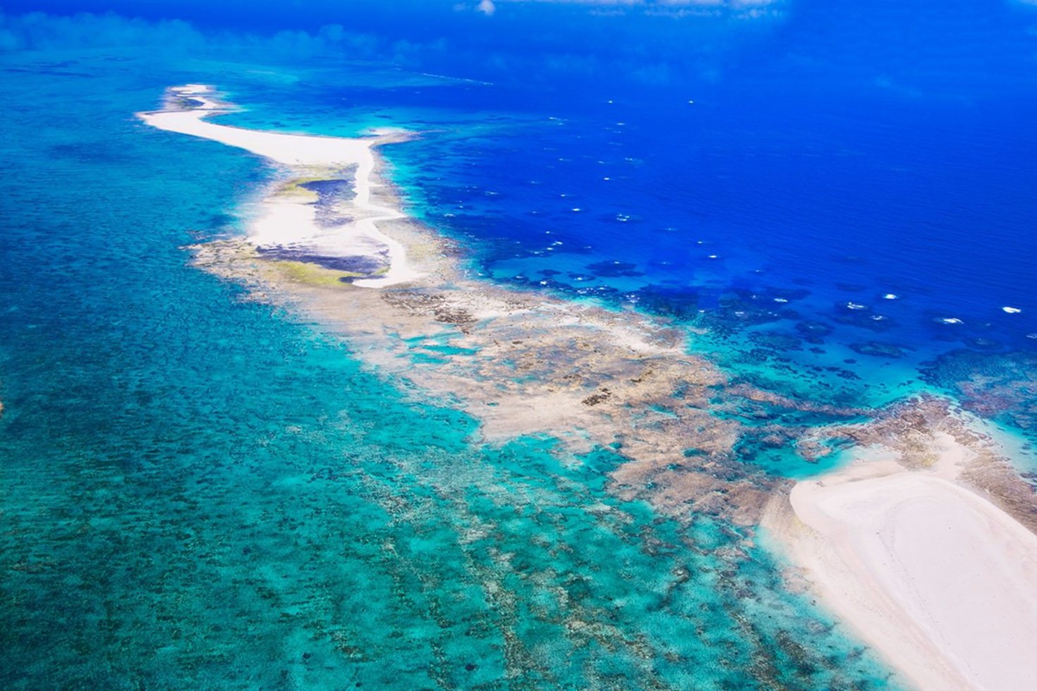 レビュアーのカバー画像