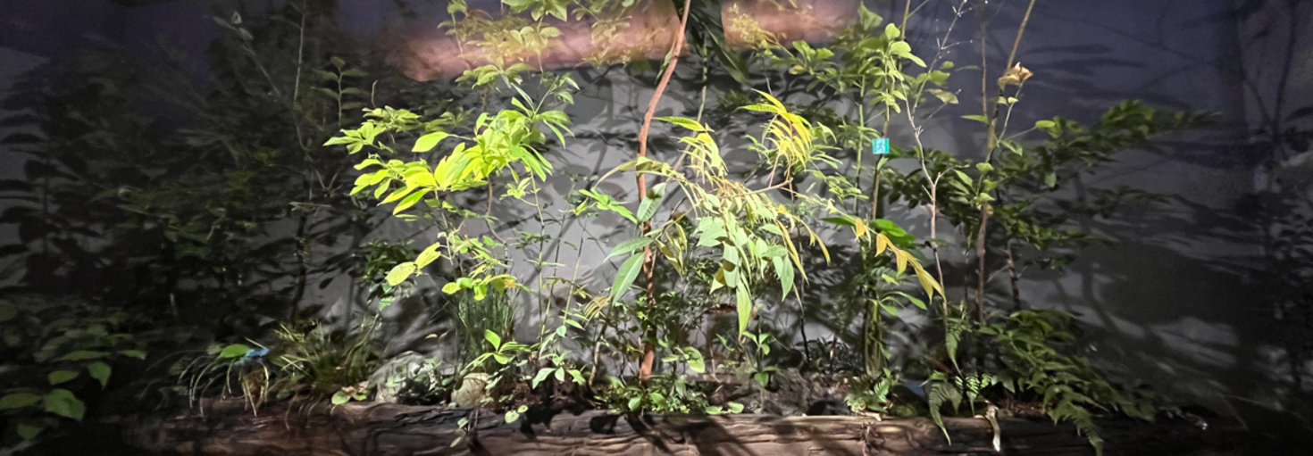 レビュアーのカバー画像