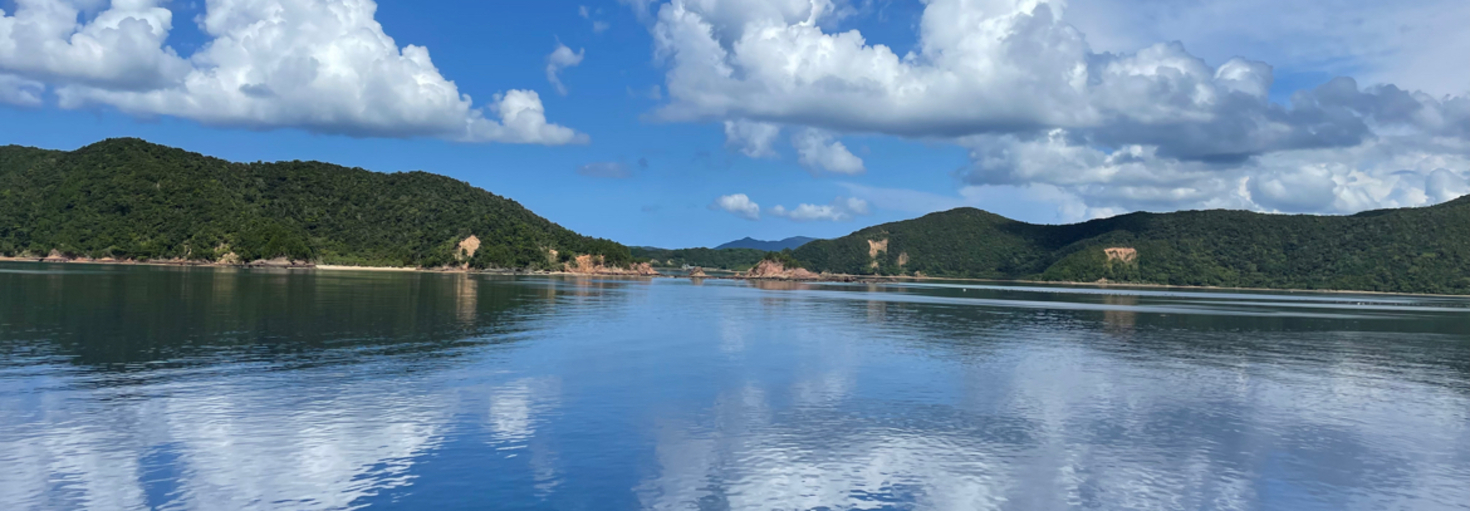 レビュアーのカバー画像