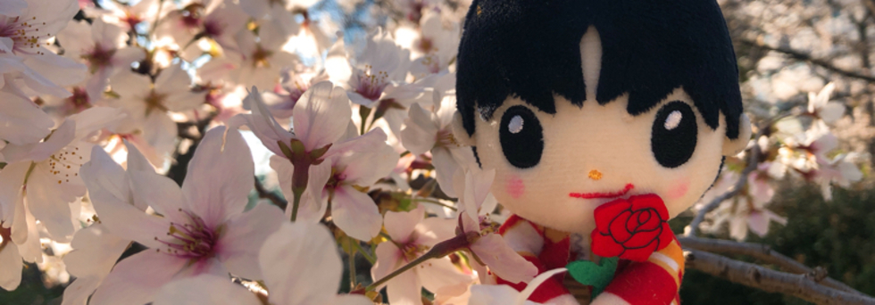 レビュアーのカバー画像