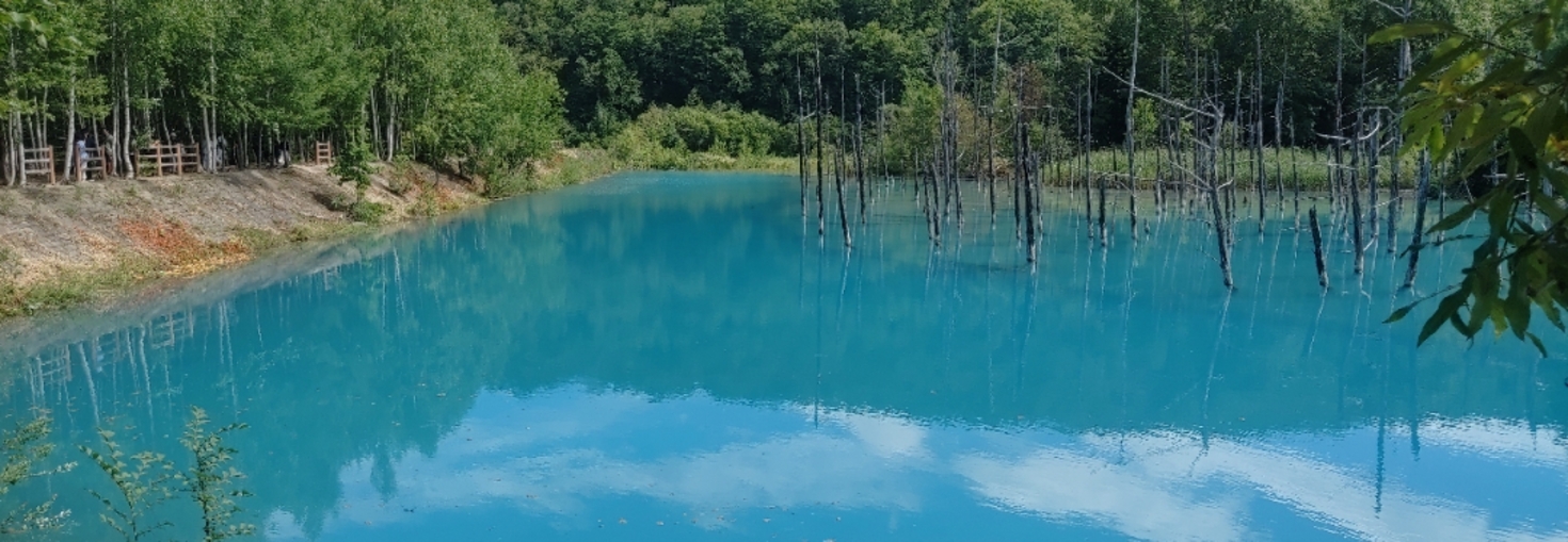 レビュアーのカバー画像