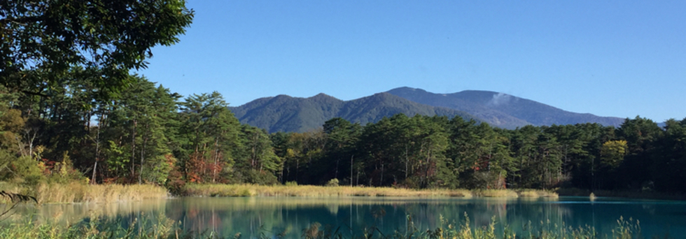 レビュアーのカバー画像