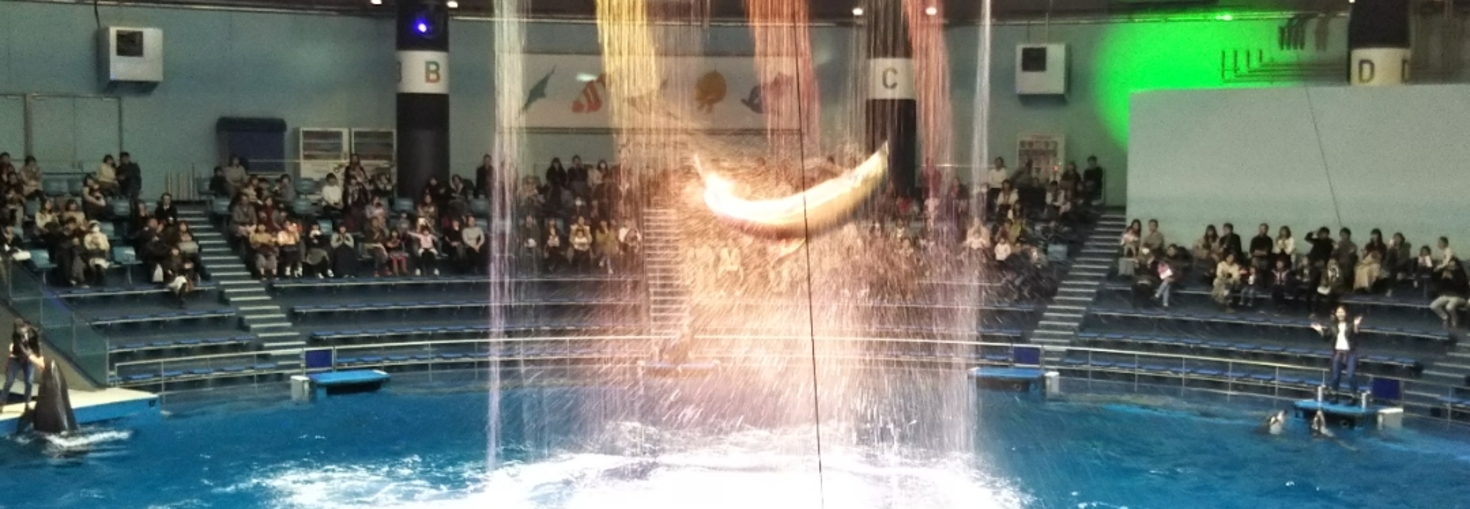 レビュアーのカバー画像