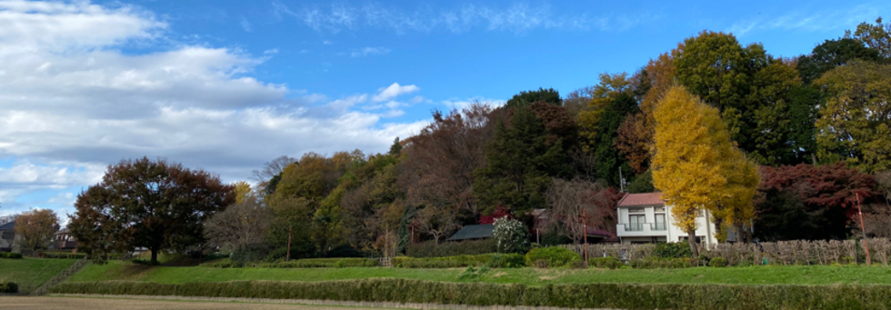 レビュアーのカバー画像