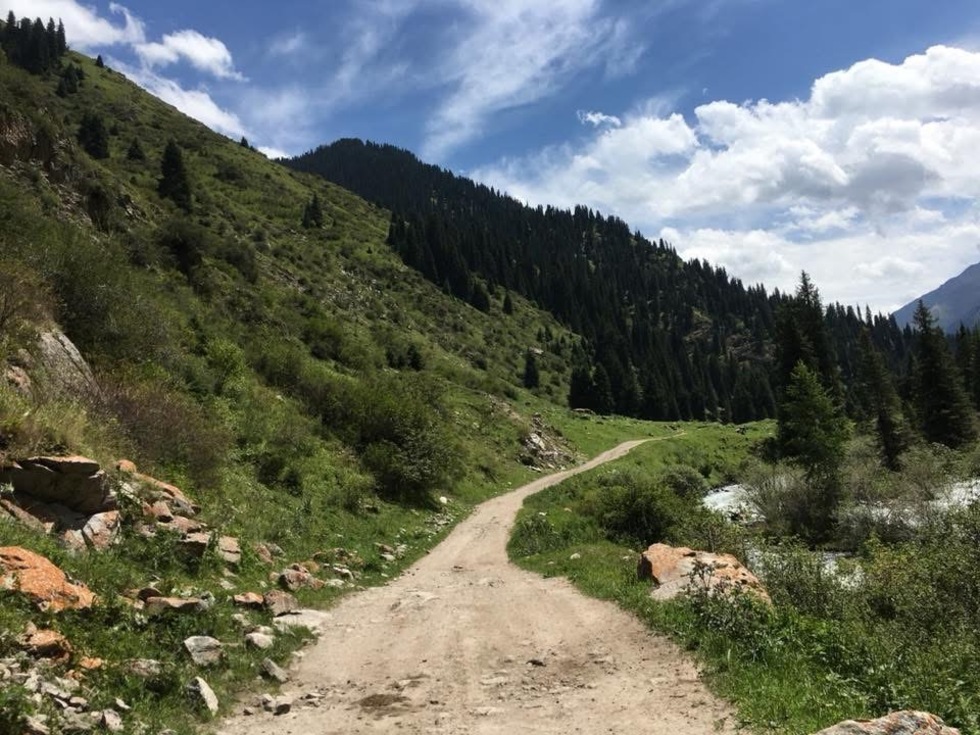 レビュアーのカバー画像