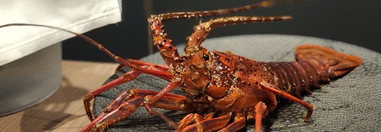 レビュアーのカバー画像