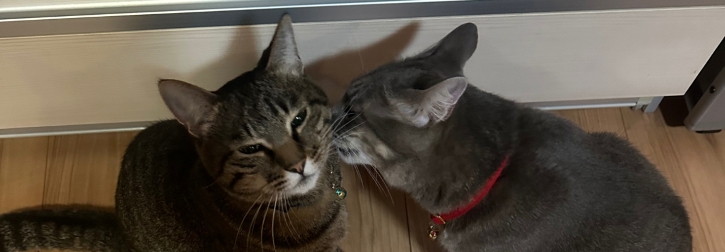 レビュアーのカバー画像