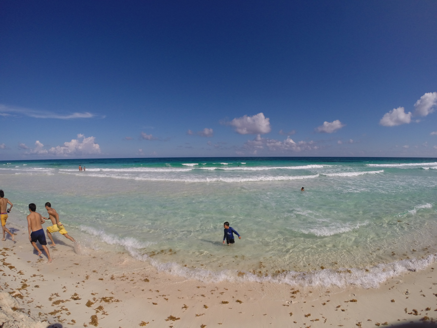 レビュアーのカバー画像