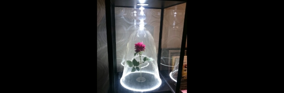 レビュアーのカバー画像