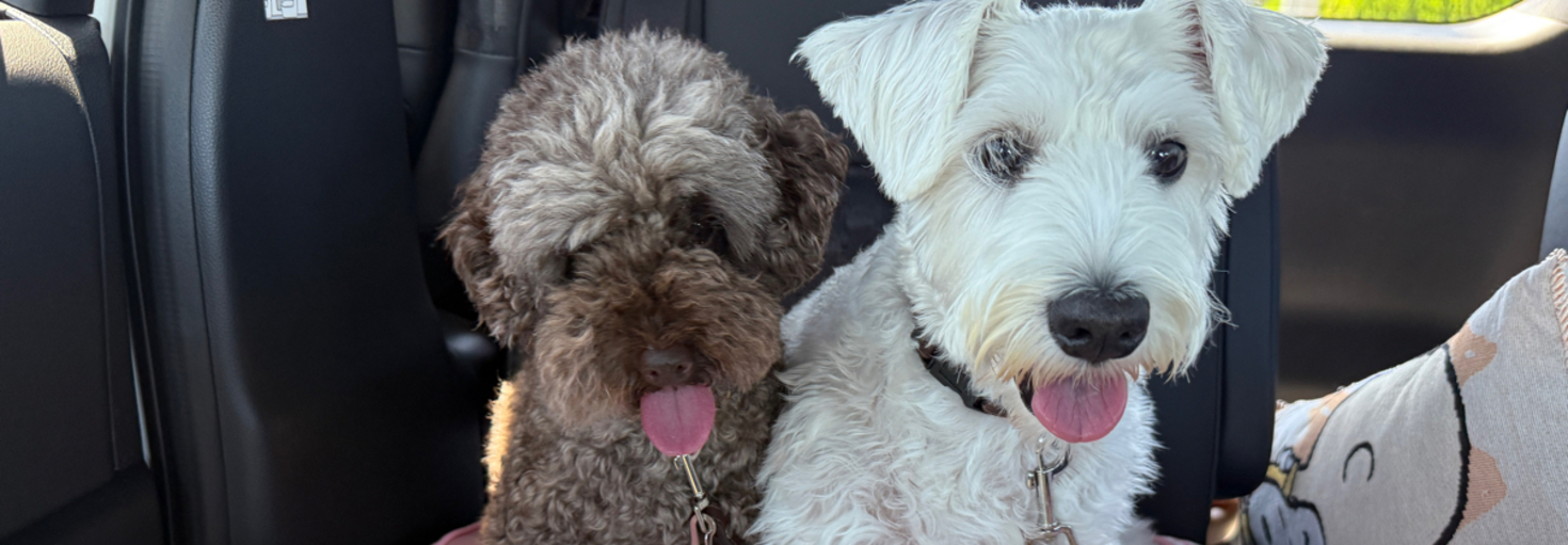 レビュアーのカバー画像