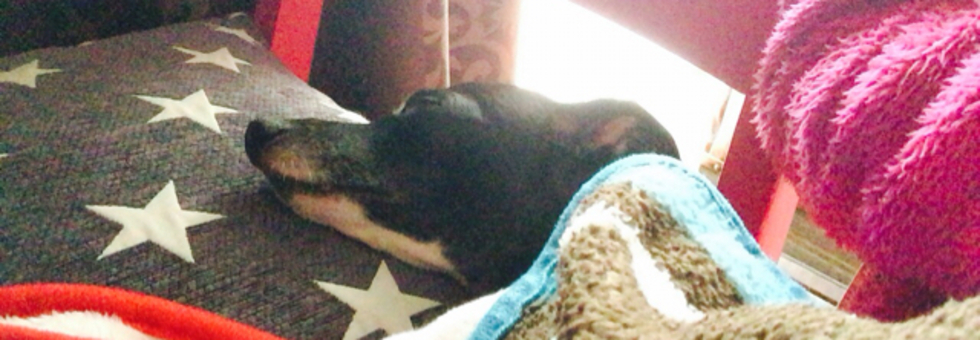 レビュアーのカバー画像