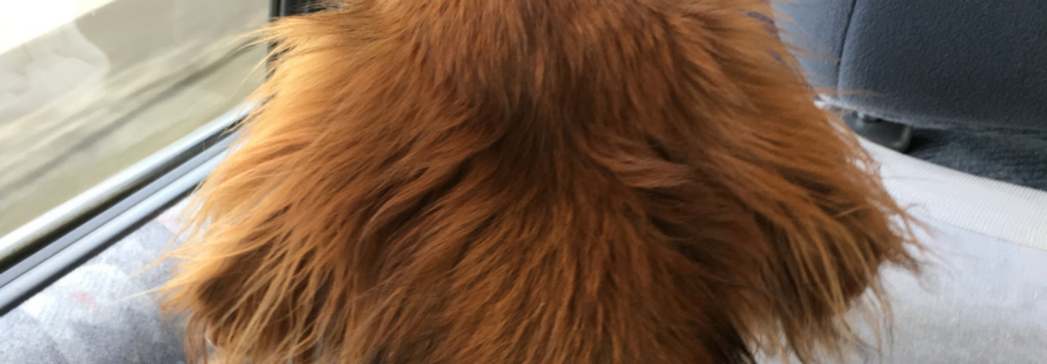 レビュアーのカバー画像