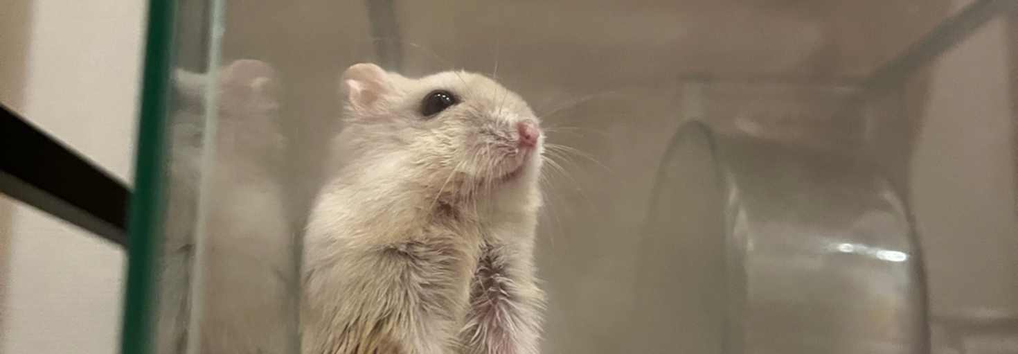 レビュアーのカバー画像