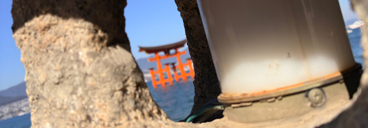 レビュアーのカバー画像