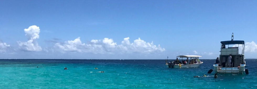 レビュアーのカバー画像