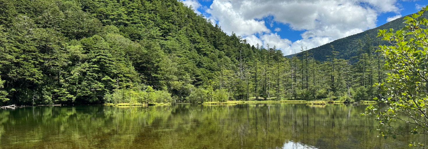 レビュアーのカバー画像