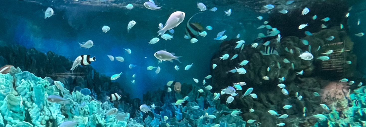 レビュアーのカバー画像