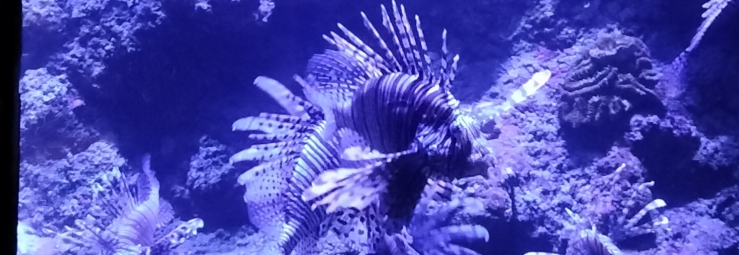 レビュアーのカバー画像