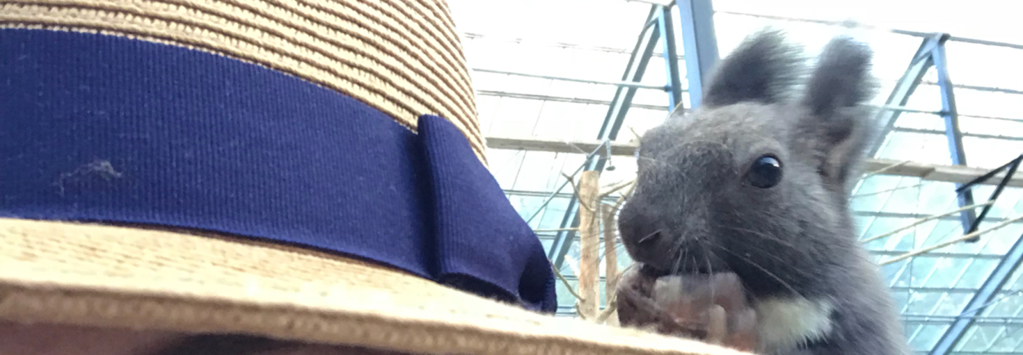 レビュアーのカバー画像