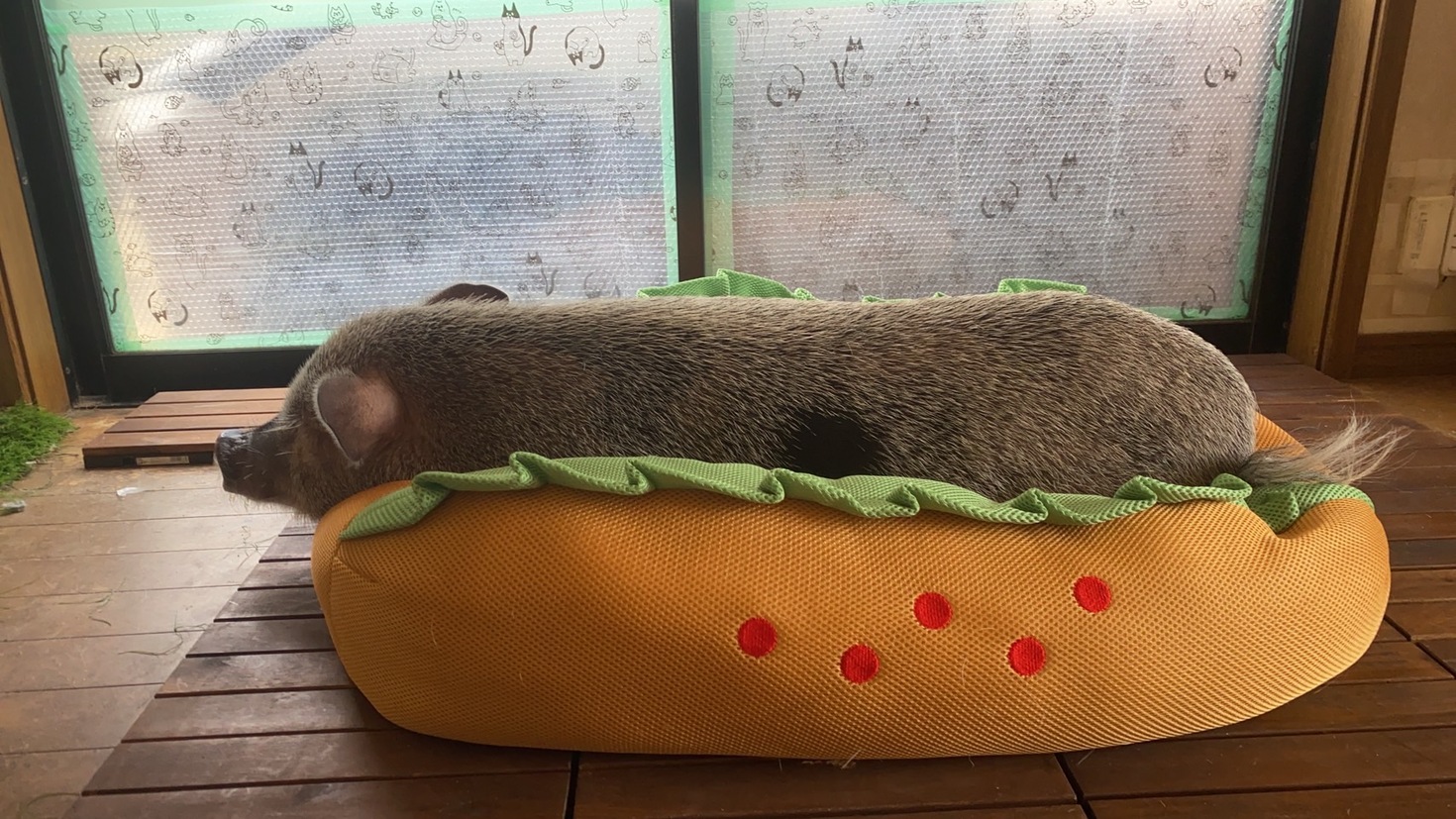レビュアーのカバー画像