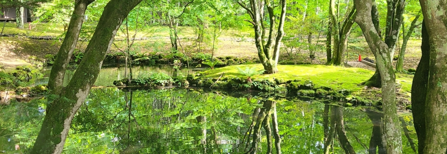 レビュアーのカバー画像