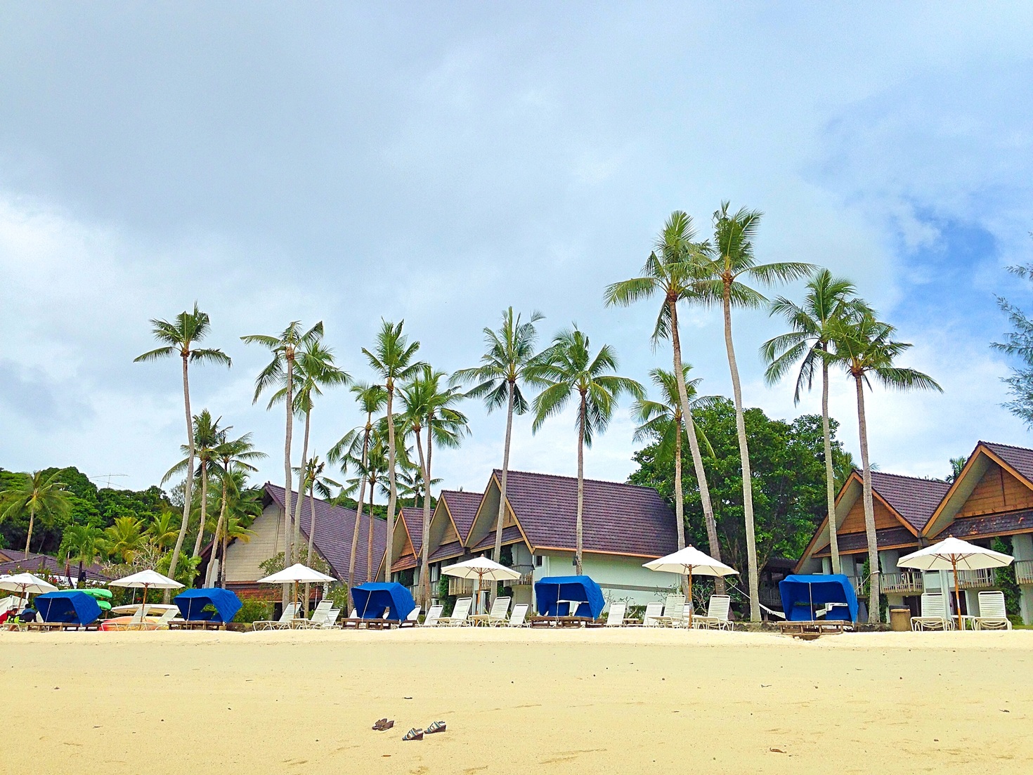 レビュアーのカバー画像