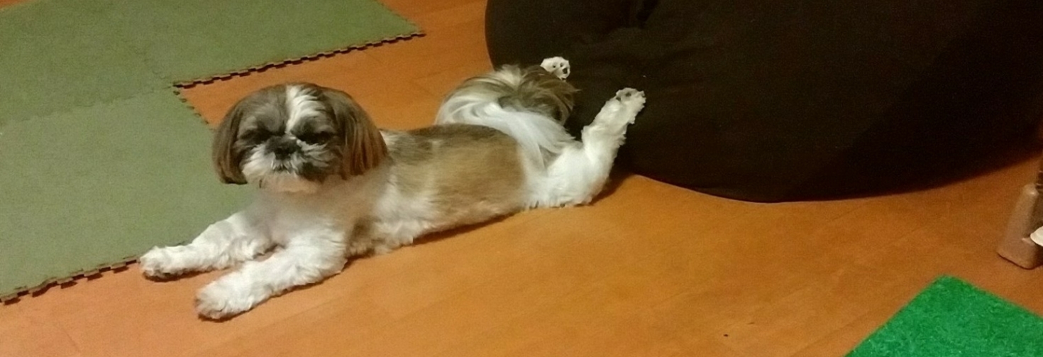 レビュアーのカバー画像