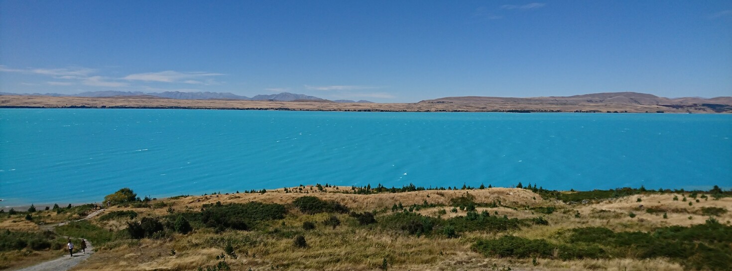 レビュアーのカバー画像