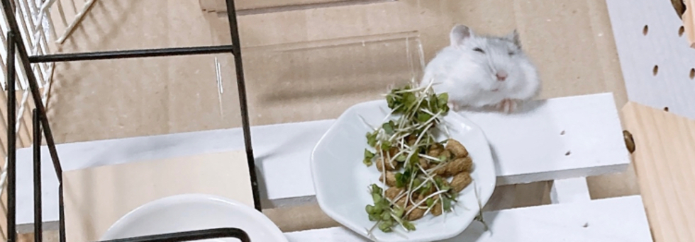 レビュアーのカバー画像