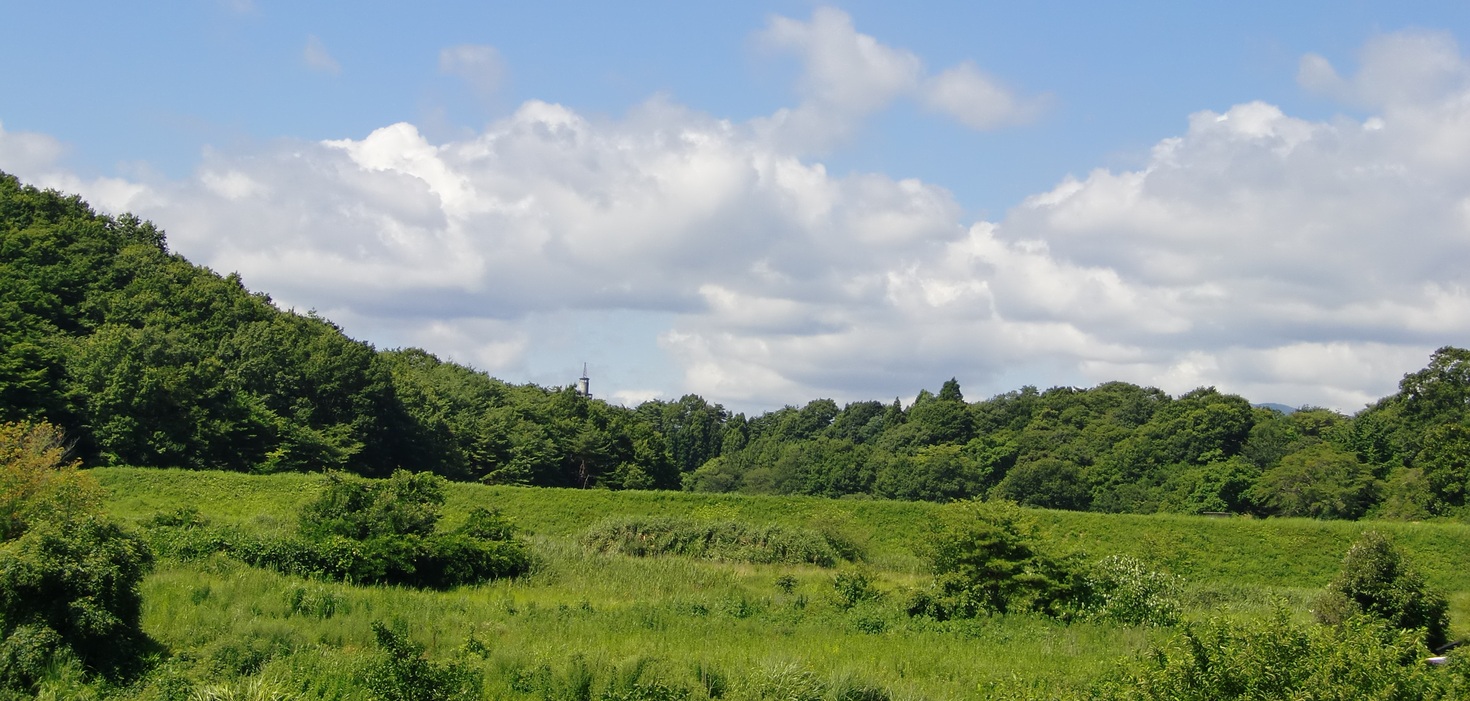 レビュアーのカバー画像