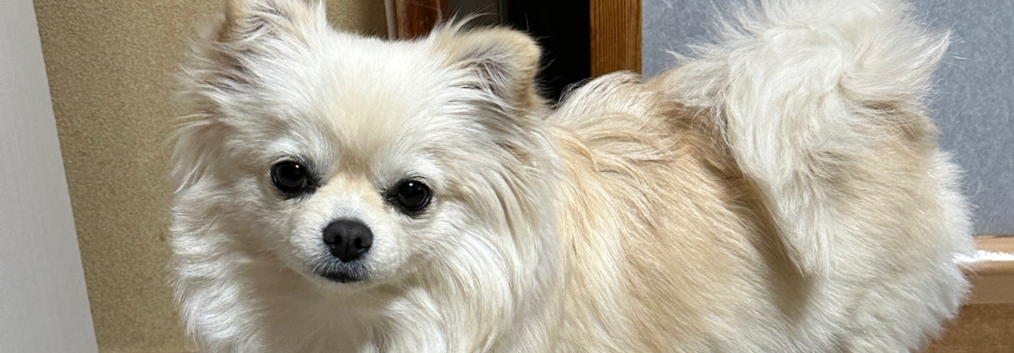 レビュアーのカバー画像