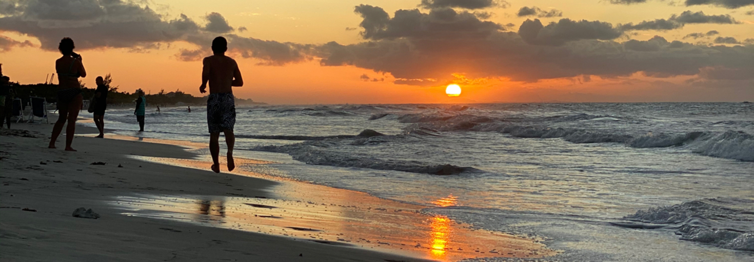 レビュアーのカバー画像