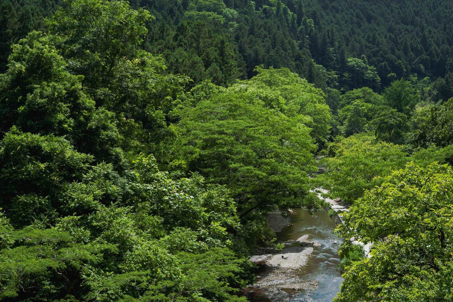 レビュアーのカバー画像