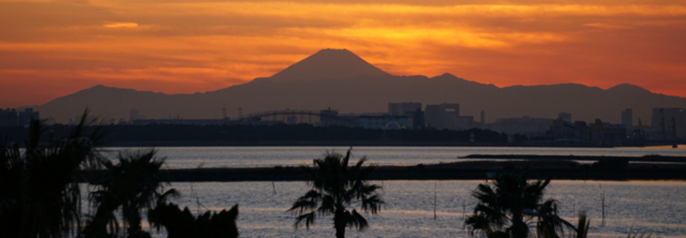 レビュアーのカバー画像