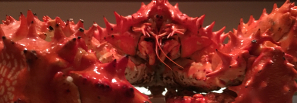 レビュアーのカバー画像