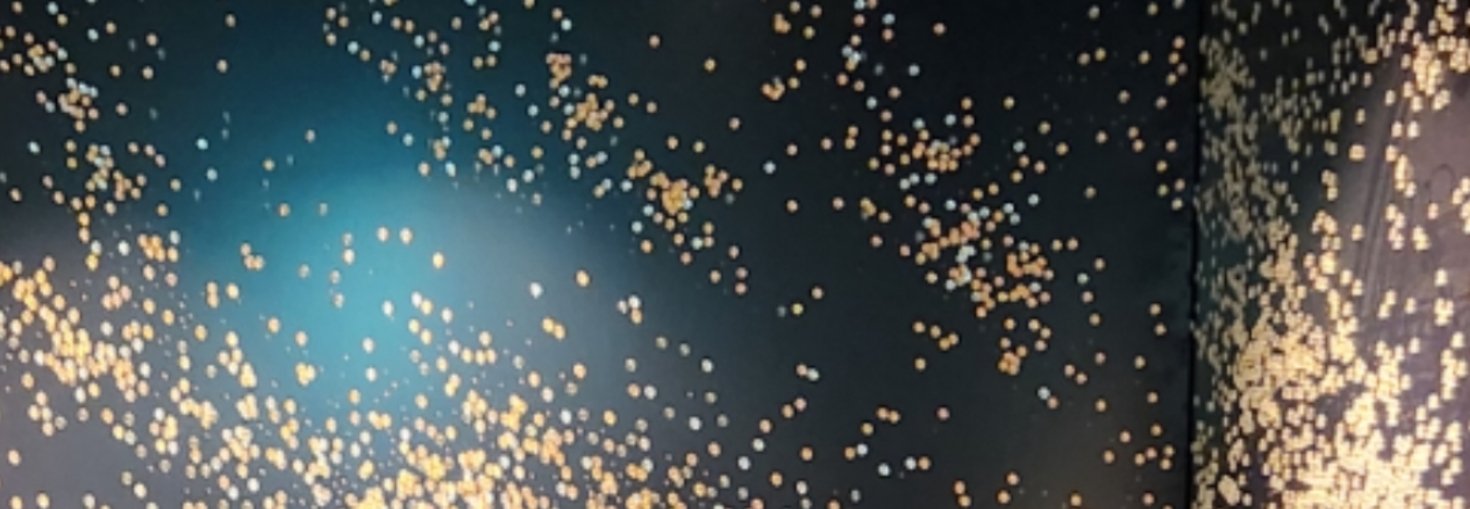 レビュアーのカバー画像