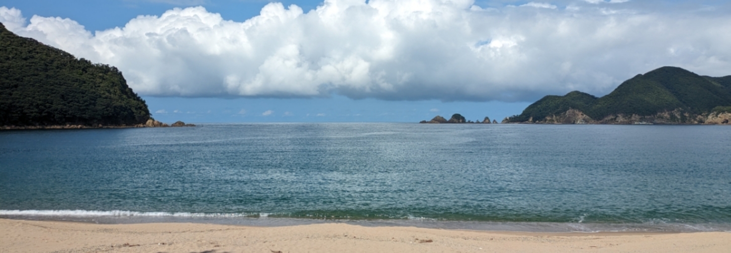 レビュアーのカバー画像