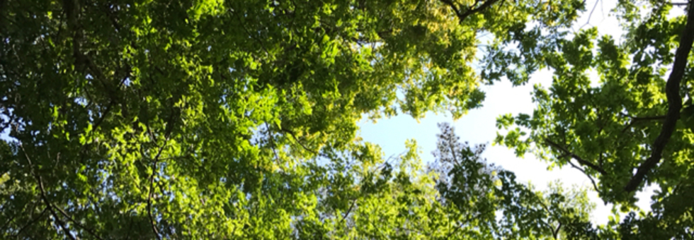 うぅっさんのトップページ 食べログ