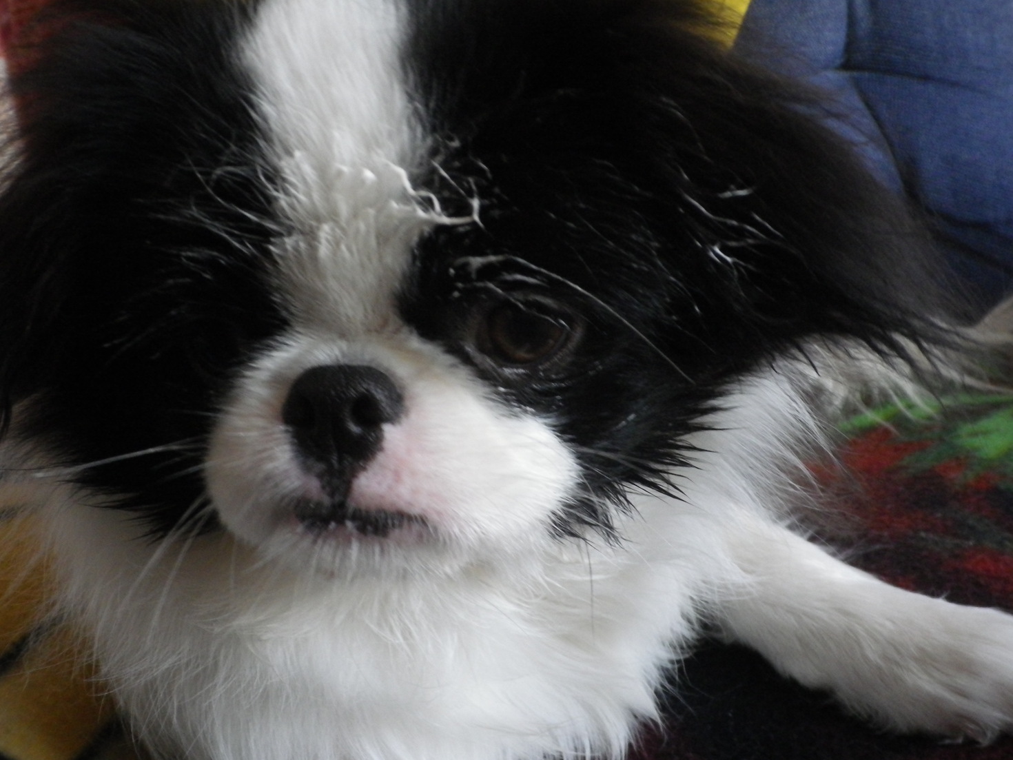 レビュアーのカバー画像