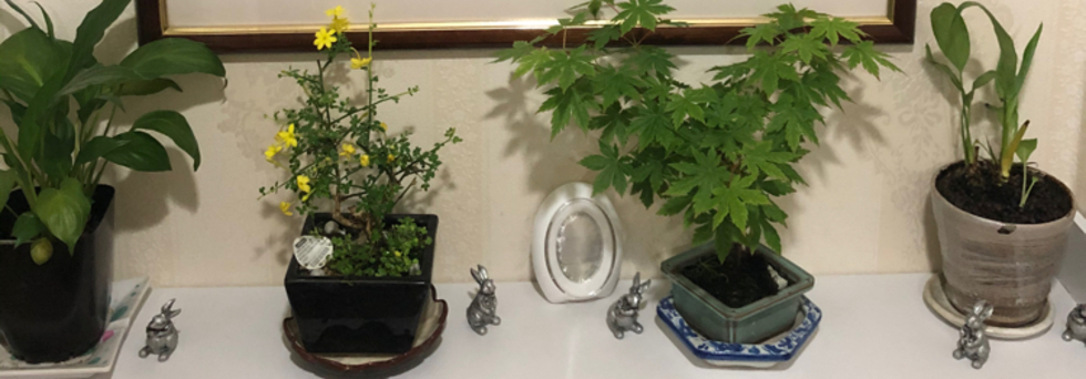 レビュアーのカバー画像