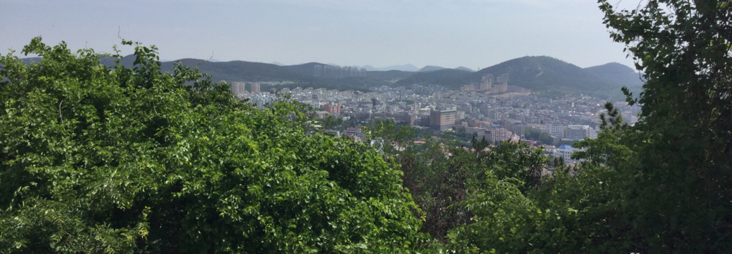 レビュアーのカバー画像