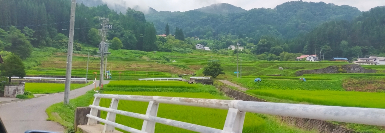 レビュアーのカバー画像