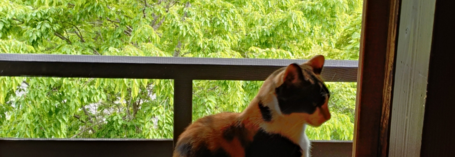 レビュアーのカバー画像