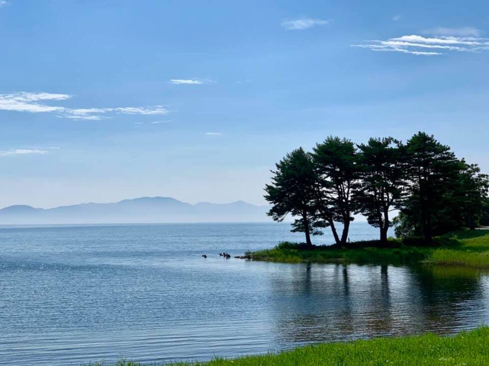 レビュアーのカバー画像