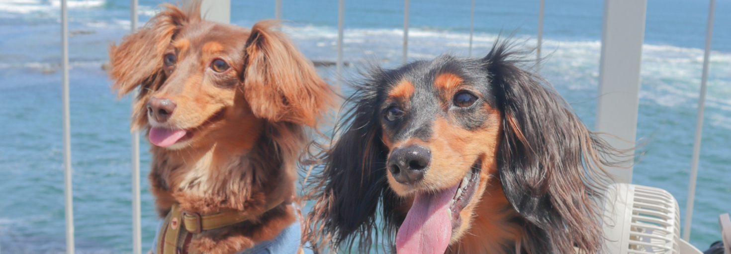 レビュアーのカバー画像