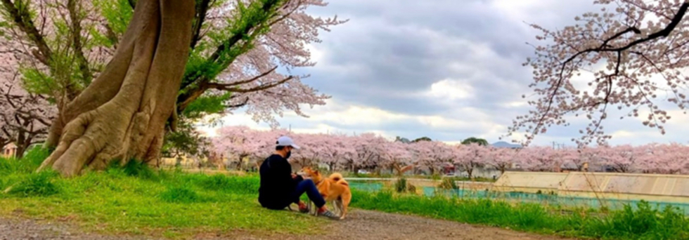 レビュアーのカバー画像