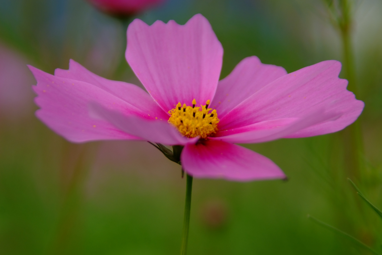 レビュアーのカバー画像