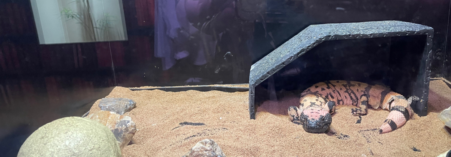 レビュアーのカバー画像