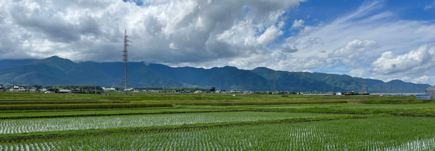 レビュアーのカバー画像