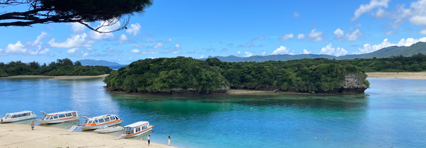 レビュアーのカバー画像